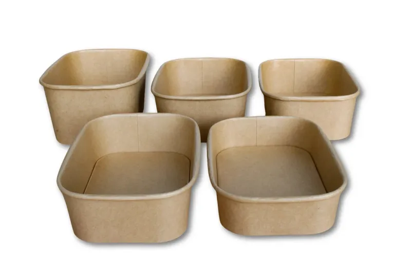 SALADE BOX (750ML) 300PCS