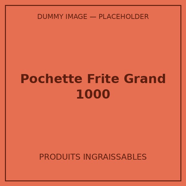 POCHETTE FRITE GRAND 1000