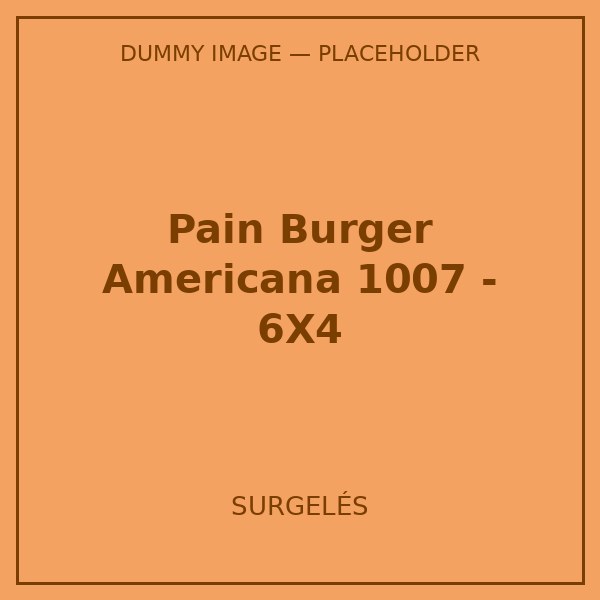 PAIN BURGER AMERICANA 1007 - 6X4