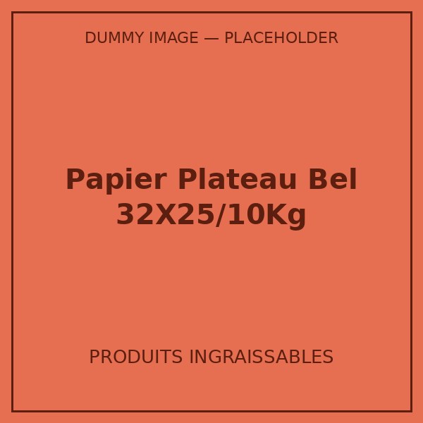 PAPIER PLATEAU BEL 32X25/10KG